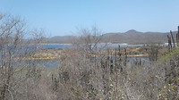 Goto meer