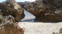 Boka kokolishi