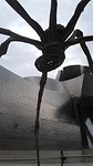 Spin Guggenheim