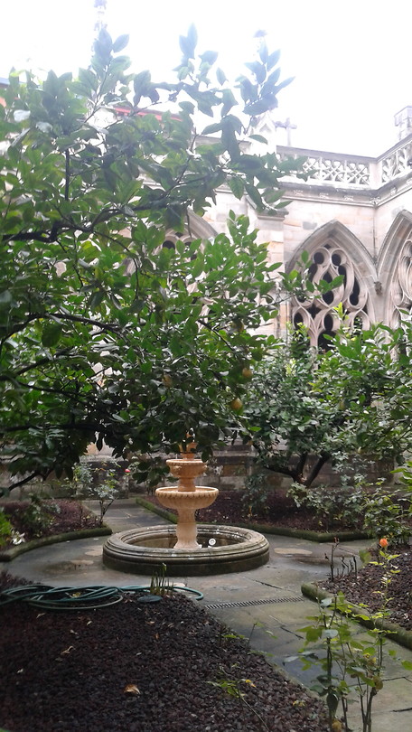 Cathedraal