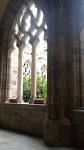 Cathedraal