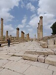 Cardo maximus