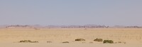Wadi rum