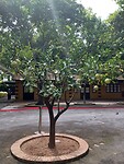 20231008_095356