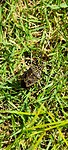 IMG-20231015-WA0118