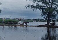 20231018_090741