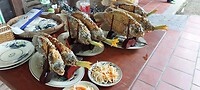 IMG-20231020-WA0079