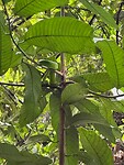 IMG-20250926-WA0003