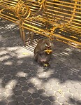 Screenshot_20251007_162218_Gallery