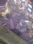 1000044224