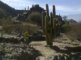 Cactussen!