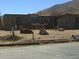 Lama's