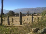 Menhirs