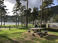 Voss in de wind en kou één vd weinige zonnestralen.