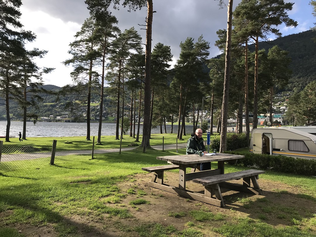 Voss in de wind en kou één vd weinige zonnestralen.