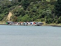akaroa 5