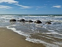 moeraki 2