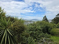 uitzicht dunedin