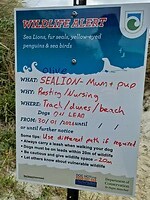 Otago noord 4