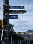 Otago noord 8
