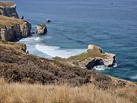 Taieri 10