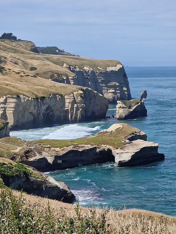 Taieri 11