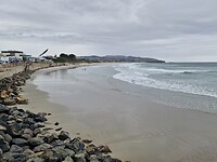 Dunedin a3