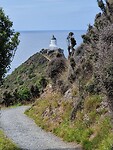 Catlins 1