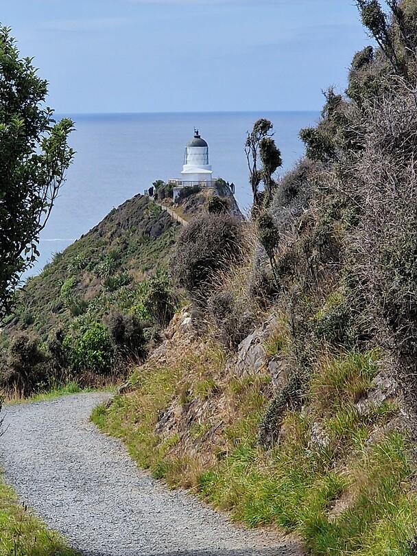 Catlins 1