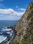 catlins 3