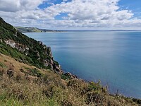 catlins 2