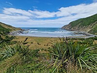 catlins 6