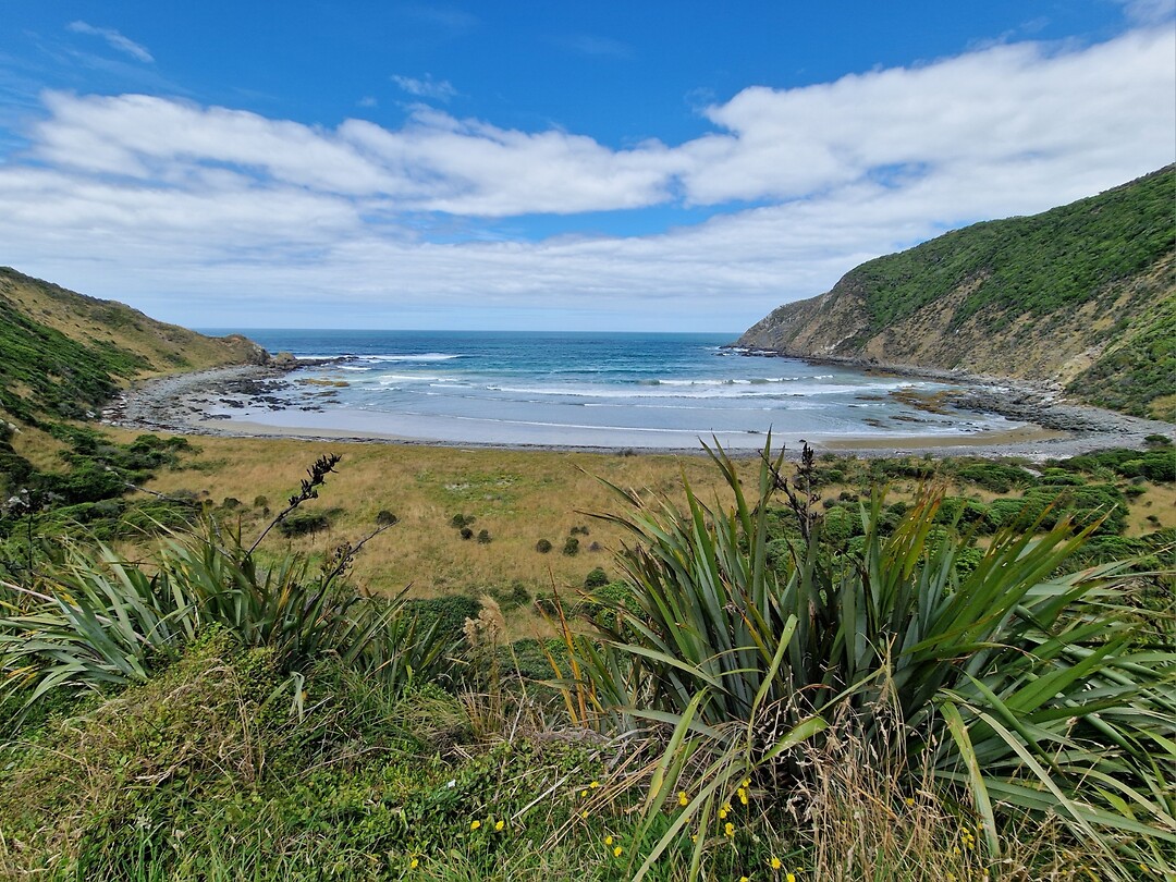 catlins 6