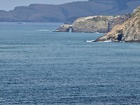 catlins 4