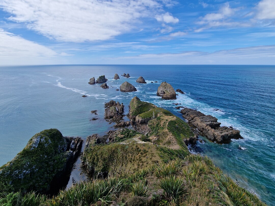 catlins 5