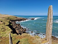 catlins 8
