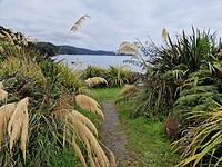 Stewart 7
