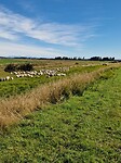 invercargill 2
