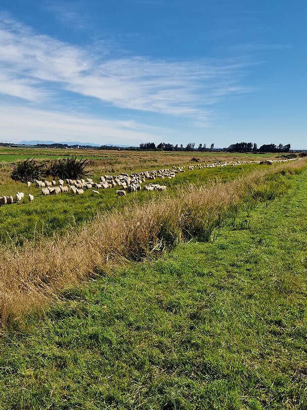 invercargill 2