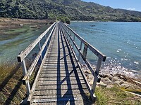 nelso 8