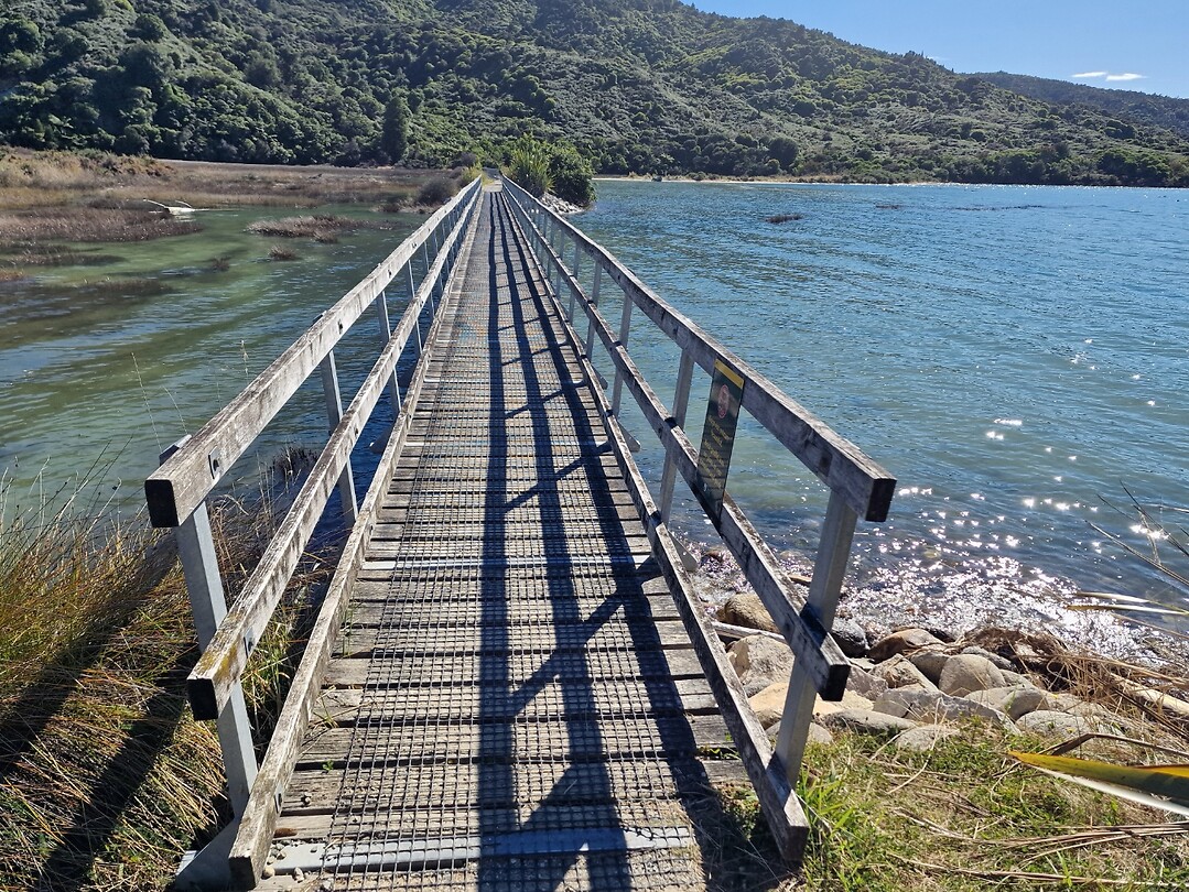 nelso 8