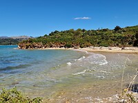nelso 12