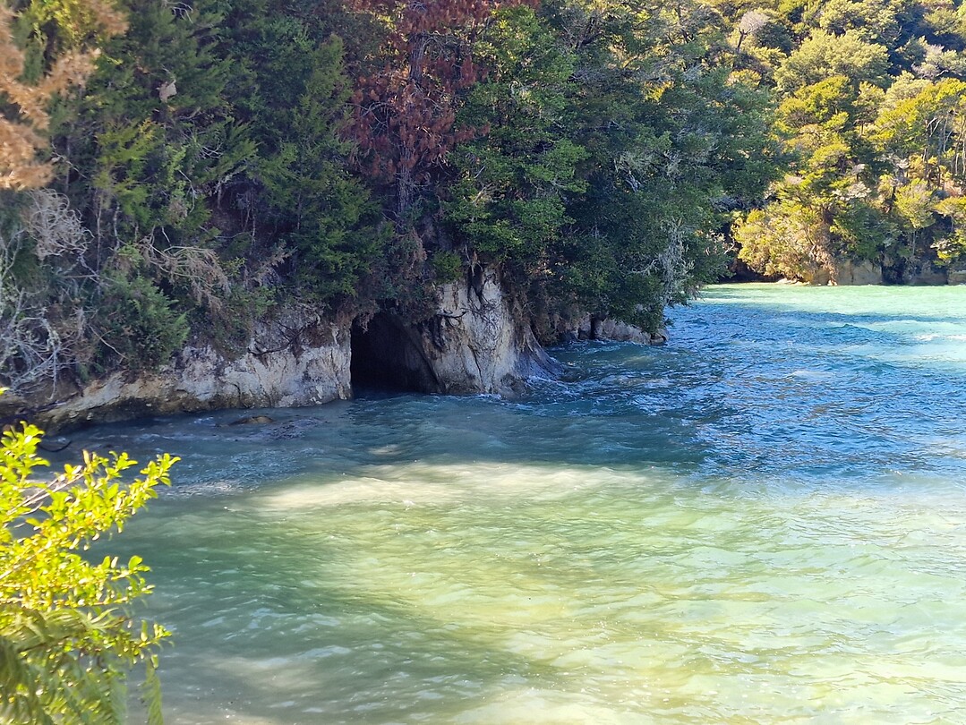 nelso 14
