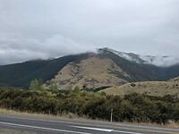nelson 4