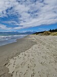nelson 1