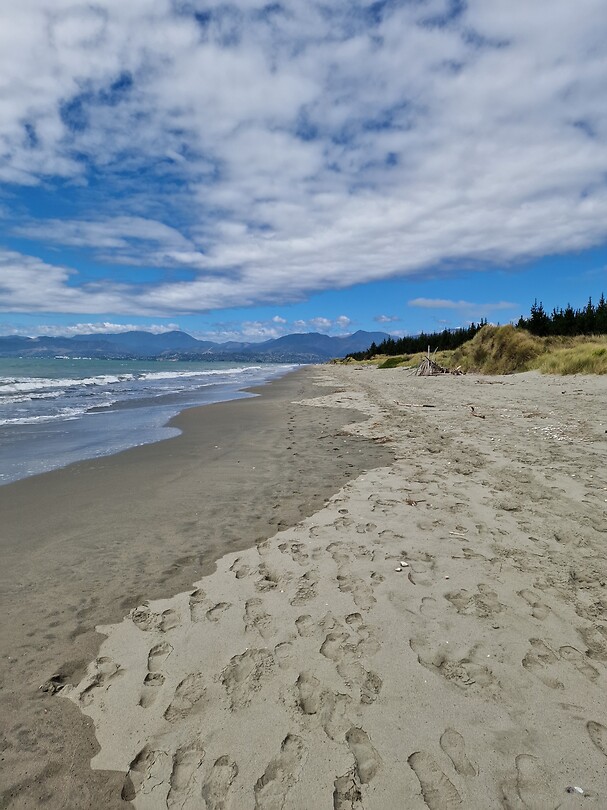 nelson 1