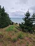 nelson 9
