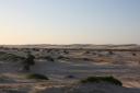 Zandduinen