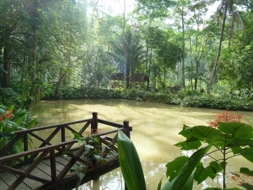 Paradijsje