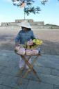 Citadel met mooie Vietnamese dame